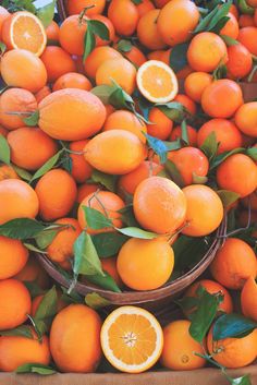 31 Macam Macam Warna Orange yang Wajib Kamu Tahu 